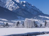 Zugefrorener Seezufluß und Zahmer Kaiser